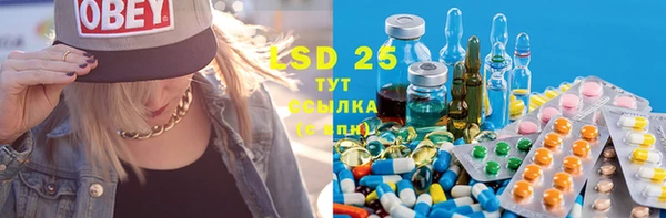 стаф Белоозёрский