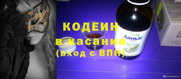 индика Богородицк