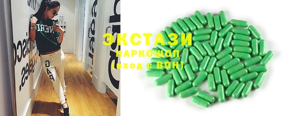 индика Богородицк