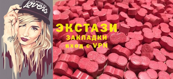 индика Богородицк