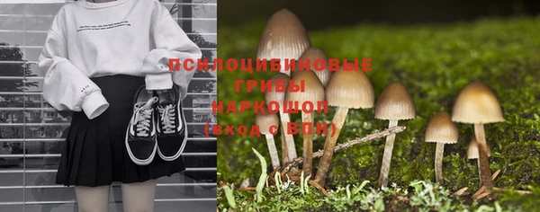 стафф Белокуриха
