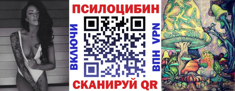Галлюциногенные грибы Psilocybine cubensis  кракен ССЫЛКА  Рыбинск  цены наркотик 